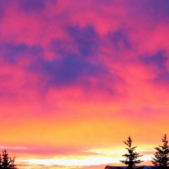 Angelica flores ortiz