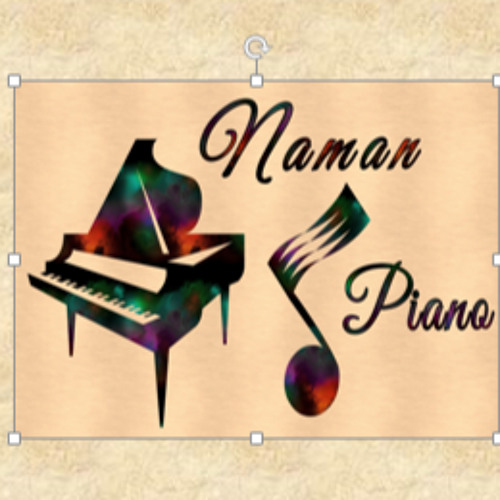 Naman Paliwal’s avatar
