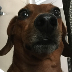 Waltthewiener28 Gaming