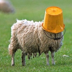 Septembrosheep