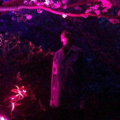 galactic space mistress