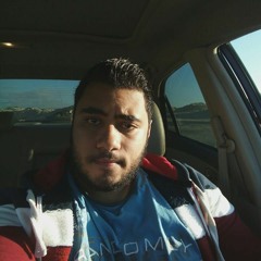 ahmed sayed 486
