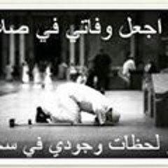 Abdo M Salama