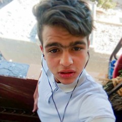 MoSiiBa_ElSaFl