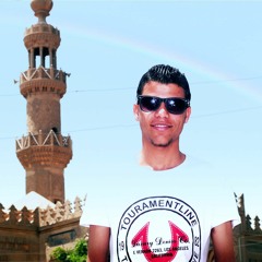 محمد الانصارى
