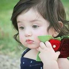 amsal