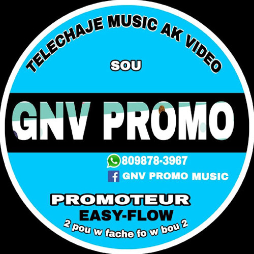 G-N-V Promo’s avatar