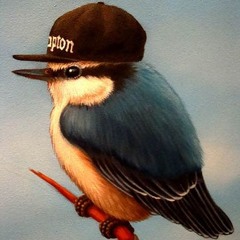 NuthatchBaby