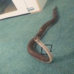 YOUNG MUSTARD (Lil Flori)