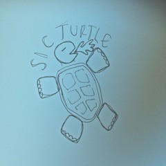 SIC turtle