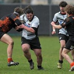 Nicholas Dec De Cecco