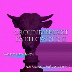 GrounBEEFtaxi