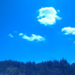 Jose Emmanuel Martinez