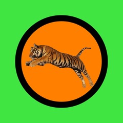 TIGER TOUCH