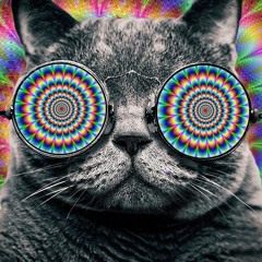 VIVIDПӨIƧΣƧ