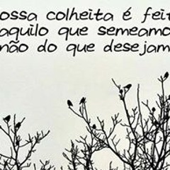 Anderson Santtos