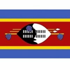 El Dlamini Sibusiso
