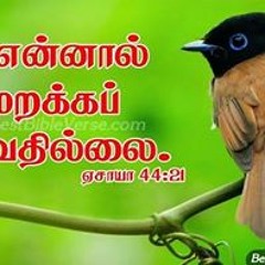 Roofantony Antony