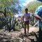 cien