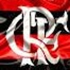 Joao Vitor Viana Gomes