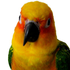 BenjaminPeterWilliams