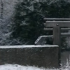 Arjan Sebastiaan Maassen