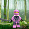 Forgotten Ninja