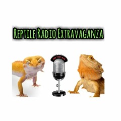 Reptile Radio Extravaganza