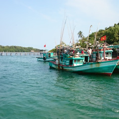 Quang Hung Nguyen