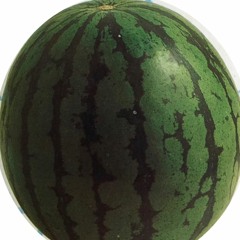 watermelon_em