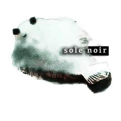 sole noir_politisch schreiben