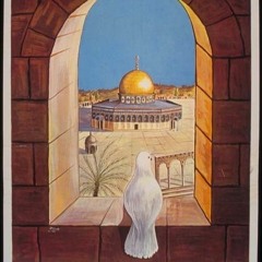 omnia sabry