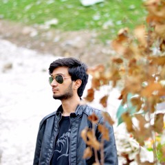Hashir Bin Abid