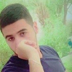 ذوالفقار حيدر