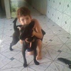 DOG nimja