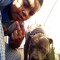 YF21_EMANBJ300