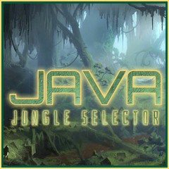 steve_java