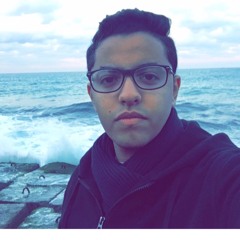 Ahmed A. Abdel Azeem