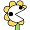 FLOWey la flor