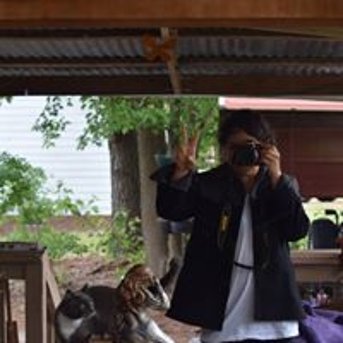 新品未開封 和訳付HolosyncホロシンクAwakening Prologue Stream