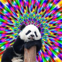 AcidPanda