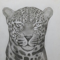 Follow me by Element Team Music