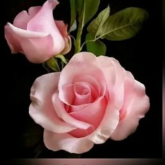 Anshuman