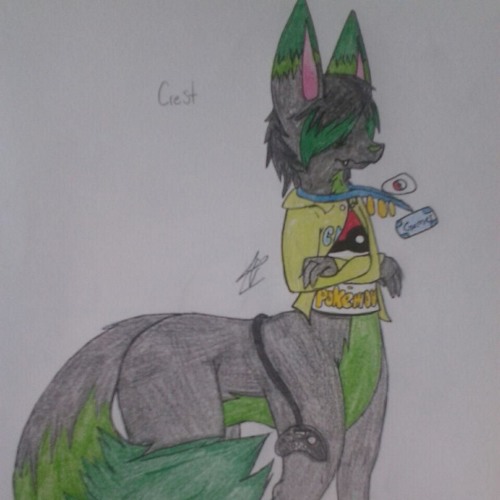 Mothpunk's Junk