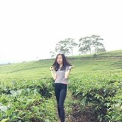 Wik