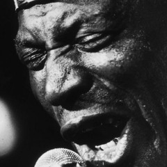 Bluestronica by Richard Rose