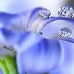 Kanzashi