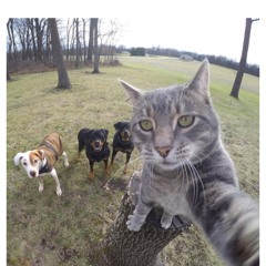 Me and those Bissmire Boys