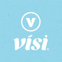 Vísi Company