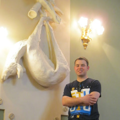 Роман Бережной